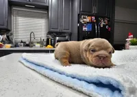 processed/55131e93-31cb-4928-9b58-44da9de85c19/listing/cf3bc256-0e54-4dc7-ac60-943f92729f1c/ee5a6ed8-4ed1-4866-a084-1b9e1eac782c