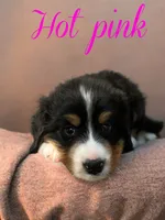 processed/5516aa10-2407-4a2e-96fe-a926bc5b3a2a/listing/355a2305-303f-4544-b884-bc13e667c472/657bdac9-5d1a-4316-b37d-f3b462810cc3