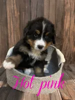 processed/5516aa10-2407-4a2e-96fe-a926bc5b3a2a/listing/355a2305-303f-4544-b884-bc13e667c472/dbb9289c-d933-4d25-83f7-7b0d42693a06