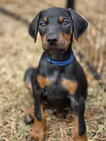 processed/551826b7-6ed8-49f4-8741-028264452386/listing/4a881fb6-a047-46d9-b3cf-2b53a151c8c6/580c9644-41bf-48db-8f10-3be06347977e