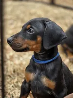 processed/551826b7-6ed8-49f4-8741-028264452386/listing/4a881fb6-a047-46d9-b3cf-2b53a151c8c6/77eec5ca-7a1f-4102-937f-1ab8fa4a996a