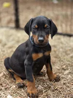 processed/551826b7-6ed8-49f4-8741-028264452386/listing/765f3cdc-2a2e-4cdb-9fd1-81180f57a2ee/0b2e29bb-7524-46b8-9c9a-9fa894c515a2