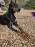 processed/551826b7-6ed8-49f4-8741-028264452386/listing/765f3cdc-2a2e-4cdb-9fd1-81180f57a2ee/35f347b8-33d5-46c8-b278-5f7f1d802f59