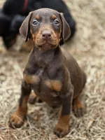 processed/551826b7-6ed8-49f4-8741-028264452386/listing/b13cf3be-c145-414f-8db8-72c87326123e/24acb53f-ded5-4d81-97bc-24d7282e3c50