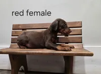 processed/551826b7-6ed8-49f4-8741-028264452386/listing/b13cf3be-c145-414f-8db8-72c87326123e/5e5bca09-3cb2-4d26-a418-37f9f41bbe35