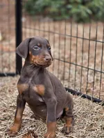 processed/551826b7-6ed8-49f4-8741-028264452386/listing/b13cf3be-c145-414f-8db8-72c87326123e/fc1b1eda-e99a-4e2b-8273-6896df49c432