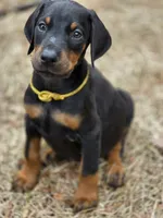 processed/551826b7-6ed8-49f4-8741-028264452386/listing/b7037569-af33-4e56-8765-e2308b67d751/dcc3c3ba-5052-417d-b10a-16691a181d6b