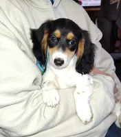 processed/55194a80-2d86-4303-81ae-adb32dd75528/listing/faa525c2-de29-4c7b-965c-21a164c01782/2e975a0b-9e38-469f-b839-ccb38ff57757