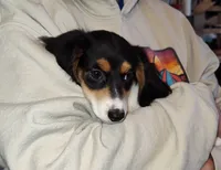 processed/55194a80-2d86-4303-81ae-adb32dd75528/listing/faa525c2-de29-4c7b-965c-21a164c01782/56c6c621-3693-4412-9b6e-163387ba5eb0