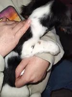 processed/55194a80-2d86-4303-81ae-adb32dd75528/listing/faa525c2-de29-4c7b-965c-21a164c01782/b12a9648-8631-47c5-b51c-65af93b3cf38