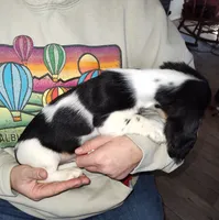 processed/55194a80-2d86-4303-81ae-adb32dd75528/listing/faa525c2-de29-4c7b-965c-21a164c01782/d83c1513-af40-4f5c-acb5-94058739e0b2