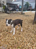 processed/55341129-352f-44fc-8d98-10933861edc4/listing/44628cea-77d0-486c-a8b9-1025d28bdfd8/2eba406f-8e06-47af-bdbb-d42455b0f9a5