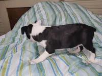 processed/55341129-352f-44fc-8d98-10933861edc4/listing/44628cea-77d0-486c-a8b9-1025d28bdfd8/cc727159-09b8-4f0e-bf52-0ebdbb020082