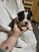 processed/55341129-352f-44fc-8d98-10933861edc4/listing/e468259a-46a6-481a-bf29-0e32a7e5313a/3dfbf68d-ade3-4b4e-a843-a7b02a6b25b6