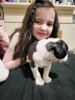 processed/55341129-352f-44fc-8d98-10933861edc4/listing/e468259a-46a6-481a-bf29-0e32a7e5313a/7c1054bb-43d1-45e0-806c-52beaf05568d