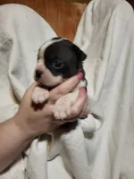 processed/55341129-352f-44fc-8d98-10933861edc4/listing/e468259a-46a6-481a-bf29-0e32a7e5313a/80392e04-e939-4eea-8b5b-39ddcb3087be