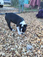 processed/55341129-352f-44fc-8d98-10933861edc4/listing/e468259a-46a6-481a-bf29-0e32a7e5313a/95f75e1f-1bec-4a2c-96db-145c94e75730