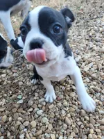 processed/55341129-352f-44fc-8d98-10933861edc4/listing/e468259a-46a6-481a-bf29-0e32a7e5313a/d050c6d8-8aa1-4d0f-bb45-846d1340893a