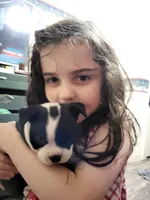 processed/55341129-352f-44fc-8d98-10933861edc4/listing/e468259a-46a6-481a-bf29-0e32a7e5313a/d53b558f-92bd-43bb-a852-579afdbe9942