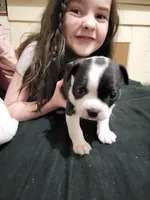 processed/55341129-352f-44fc-8d98-10933861edc4/listing/e468259a-46a6-481a-bf29-0e32a7e5313a/e895bab9-5906-4993-87af-9630d7d255d5