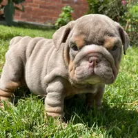 processed/553d510a-316d-4c85-8cf2-5de417e06585/facility/128a9a41-8533-42b3-bc72-128b8d361218