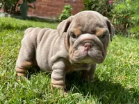 processed/553d510a-316d-4c85-8cf2-5de417e06585/facility/128a9a41-8533-42b3-bc72-128b8d361218