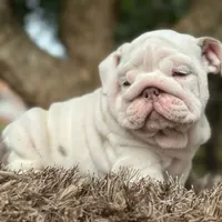 processed/553d510a-316d-4c85-8cf2-5de417e06585/facility/17adf814-7a57-4764-be27-3c1165dcba40