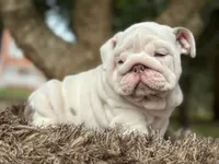 processed/553d510a-316d-4c85-8cf2-5de417e06585/facility/17adf814-7a57-4764-be27-3c1165dcba40