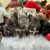 processed/553d510a-316d-4c85-8cf2-5de417e06585/facility/487b90cd-cb19-41c8-9985-d300e1b195fd