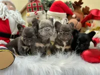 processed/553d510a-316d-4c85-8cf2-5de417e06585/facility/487b90cd-cb19-41c8-9985-d300e1b195fd