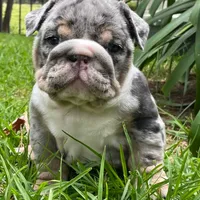 processed/553d510a-316d-4c85-8cf2-5de417e06585/facility/abdf9a25-1c41-4e34-9f1f-571ee69d4429