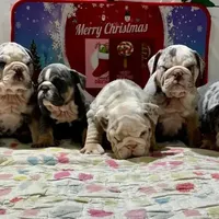 processed/553d510a-316d-4c85-8cf2-5de417e06585/facility/bf8e23ed-d8b3-490a-be7d-12a8f6f02cb7