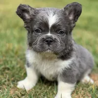 processed/553d510a-316d-4c85-8cf2-5de417e06585/facility/d9722221-38a0-4879-97b0-e156852346a5