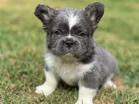 processed/553d510a-316d-4c85-8cf2-5de417e06585/facility/d9722221-38a0-4879-97b0-e156852346a5