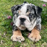 processed/553d510a-316d-4c85-8cf2-5de417e06585/facility/f69e2a07-8193-46b2-82b1-2873cd43a057