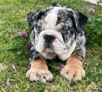 processed/553d510a-316d-4c85-8cf2-5de417e06585/facility/f69e2a07-8193-46b2-82b1-2873cd43a057