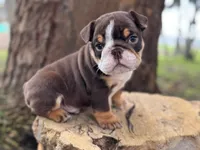 processed/553d510a-316d-4c85-8cf2-5de417e06585/listing/d4746054-6005-4934-bcae-c300fe164f27/3ab16db8-1cc3-495b-8bd3-095dc2fc20f3