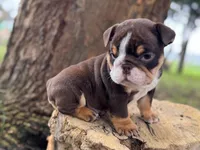 processed/553d510a-316d-4c85-8cf2-5de417e06585/listing/d4746054-6005-4934-bcae-c300fe164f27/7f4d998d-7f1f-4e15-aa34-51d03d24d028