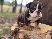 processed/553d510a-316d-4c85-8cf2-5de417e06585/listing/d4746054-6005-4934-bcae-c300fe164f27/9359dcd8-bd1a-4d00-9412-9155011bc5eb