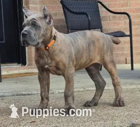 processed/553ede2c-7c6f-4d0d-a67b-04b8fb144dec/listing/4482823c-3215-47e8-851f-09505d1a82de/2b023d8f-52e0-4112-9ef0-60fa1f7c4399