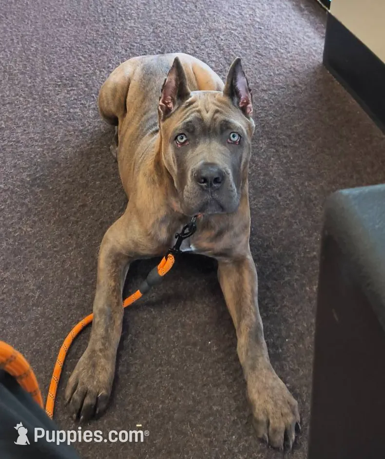 processed/553ede2c-7c6f-4d0d-a67b-04b8fb144dec/listing/4482823c-3215-47e8-851f-09505d1a82de/57b969f6-7fab-461f-8ddc-d591aba416ad