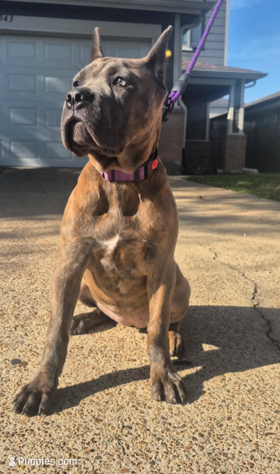 processed/553ede2c-7c6f-4d0d-a67b-04b8fb144dec/listing/4482823c-3215-47e8-851f-09505d1a82de/634eb739-81eb-40fa-9131-da23341153ec