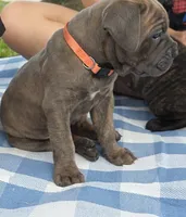 processed/553ede2c-7c6f-4d0d-a67b-04b8fb144dec/listing/4482823c-3215-47e8-851f-09505d1a82de/7e55a4cc-1a44-40dd-b829-d3b8b11da4c1