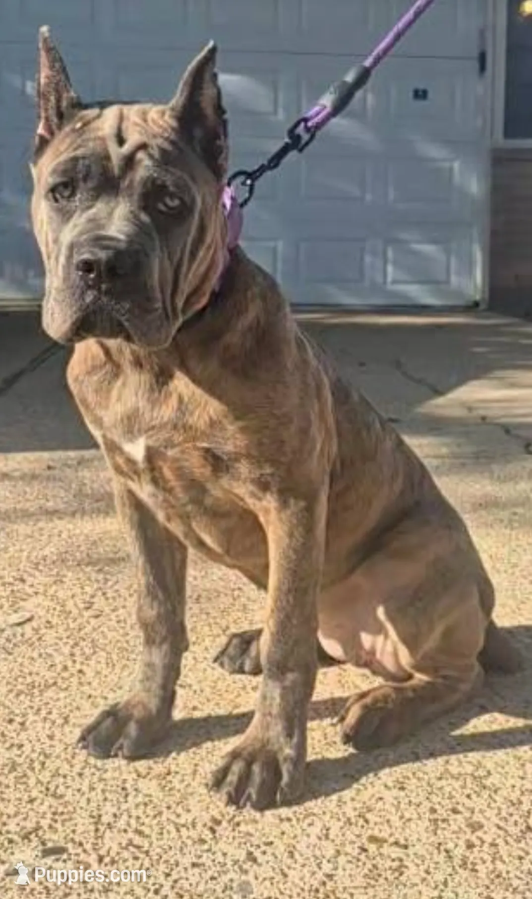 processed/553ede2c-7c6f-4d0d-a67b-04b8fb144dec/listing/4482823c-3215-47e8-851f-09505d1a82de/b6d0f666-f067-4d46-8a57-c6df8375ab87