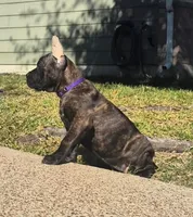 processed/553ede2c-7c6f-4d0d-a67b-04b8fb144dec/listing/f0c7f4d2-f11b-4ab1-9ef8-9fb2bdc458e5/1c9e3734-7a4b-4930-9331-9912bbd1a6a2