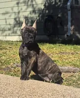 processed/553ede2c-7c6f-4d0d-a67b-04b8fb144dec/listing/f0c7f4d2-f11b-4ab1-9ef8-9fb2bdc458e5/364caf6e-534c-44e4-8792-81efb190c25b