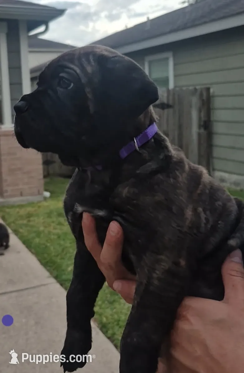 processed/553ede2c-7c6f-4d0d-a67b-04b8fb144dec/listing/f0c7f4d2-f11b-4ab1-9ef8-9fb2bdc458e5/47f050aa-a38d-48ac-aeb2-31dbc8275275