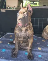 processed/553ede2c-7c6f-4d0d-a67b-04b8fb144dec/listing/f0c7f4d2-f11b-4ab1-9ef8-9fb2bdc458e5/a571ba45-211c-4448-a6c8-71f87cfa6c16