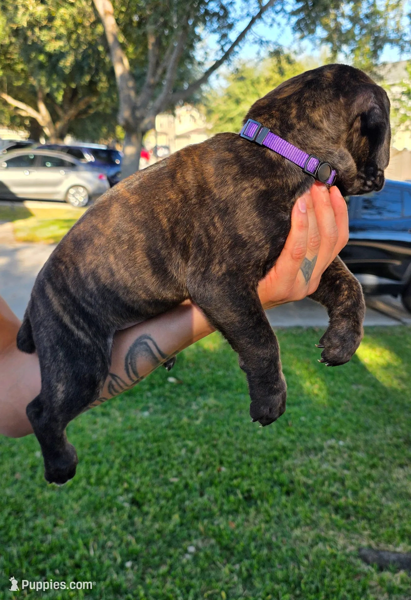 processed/553ede2c-7c6f-4d0d-a67b-04b8fb144dec/listing/f0c7f4d2-f11b-4ab1-9ef8-9fb2bdc458e5/e952e453-8806-4e44-ba28-52d333578391