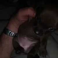 processed/553f4f5a-8b68-4242-a448-8bdc2dd2f833/facility/022be5aa-8da7-4d7b-b1e3-deb629d70bf3